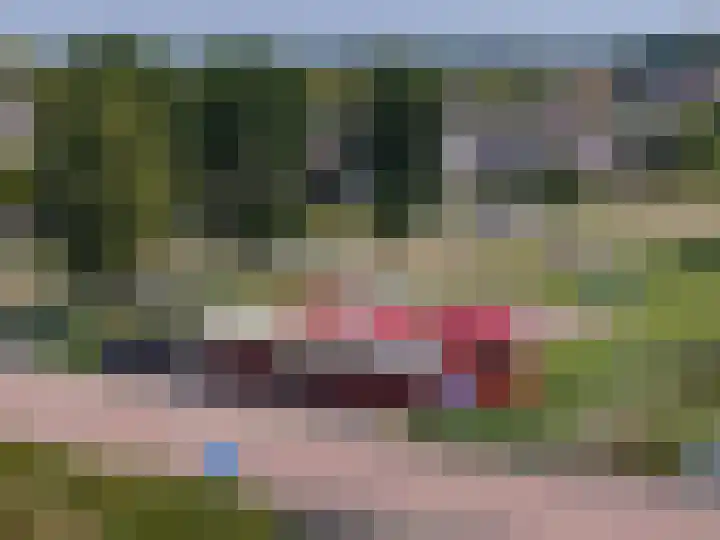 Buitenhof 6 De Goorn thumbnail 56