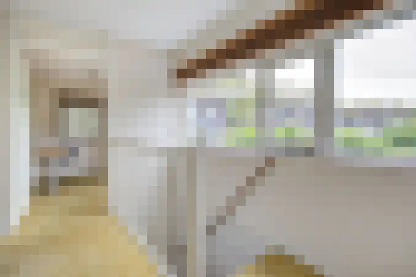 Buitenhof 63 Etten-Leur thumbnail 21