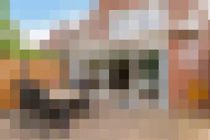 Buitenhof 64 Almere thumbnail 44