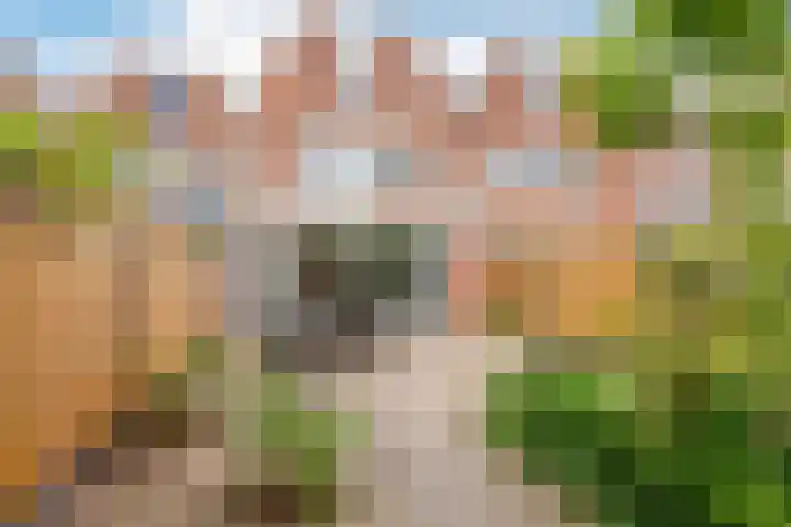 Buitenhof 64 Almere thumbnail 46