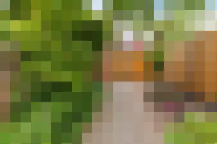 Buitenhof 64 Almere thumbnail 48