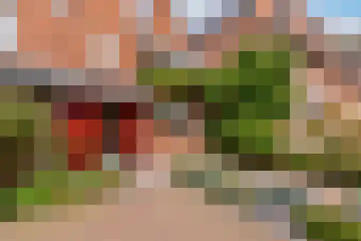 Buitenhof 64 Almere thumbnail 5
