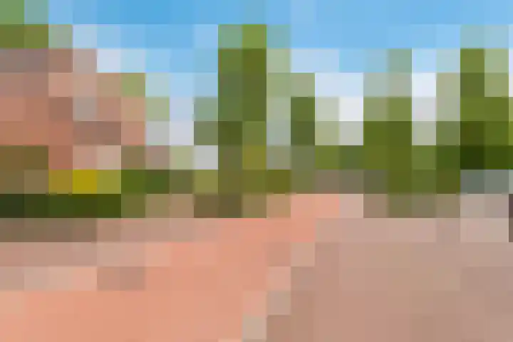 Buitenhof 64 Almere thumbnail 58