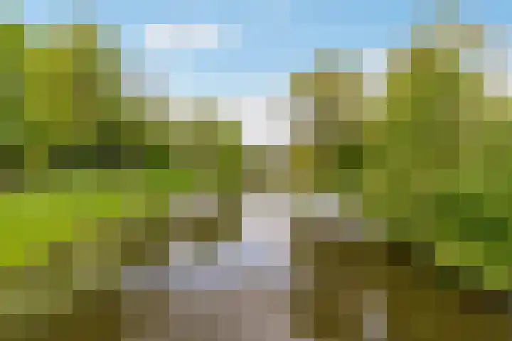 Buitenhof 64 Almere thumbnail 62