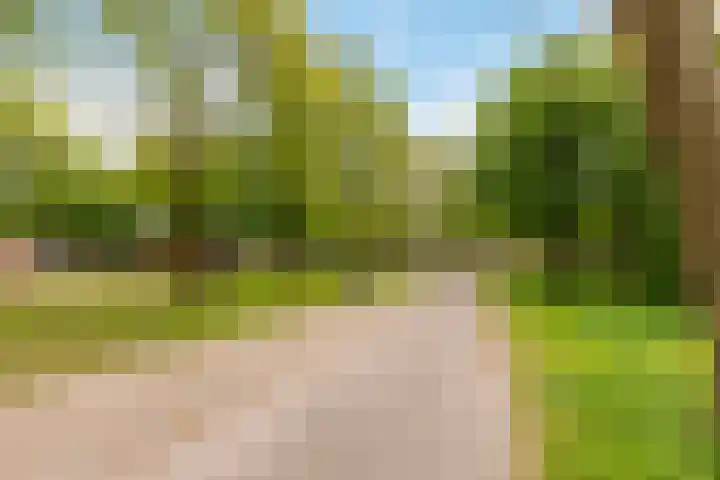 Buitenhof 64 Almere thumbnail 64