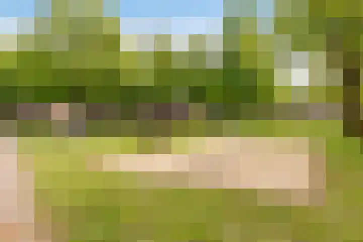 Buitenhof 64 Almere thumbnail 65