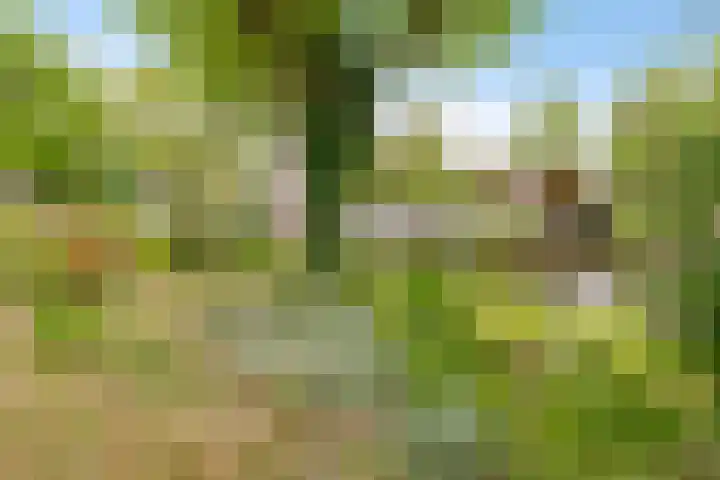 Buitenhof 64 Almere thumbnail 67