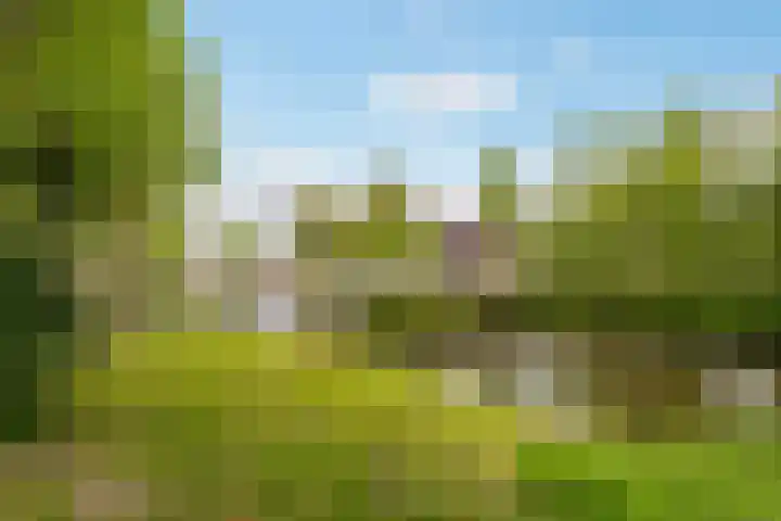 Buitenhof 64 Almere thumbnail 68