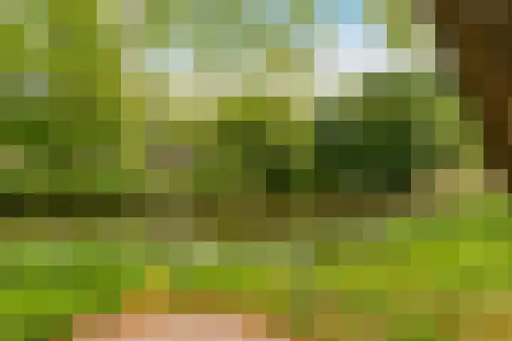 Buitenhof 64 Almere thumbnail 69