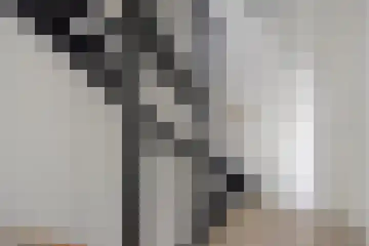 Buitenhof 7 Varik thumbnail 13