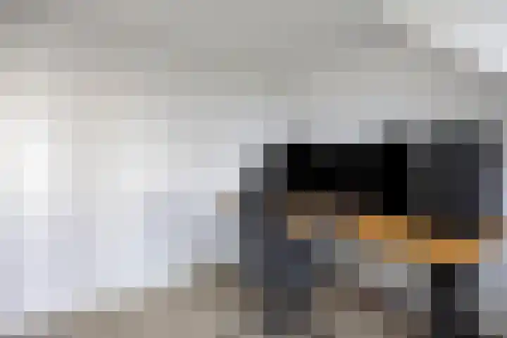 Buitenhof 7 Varik thumbnail 25