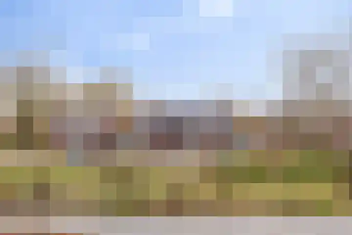 Buitenhof 7 Varik thumbnail 29