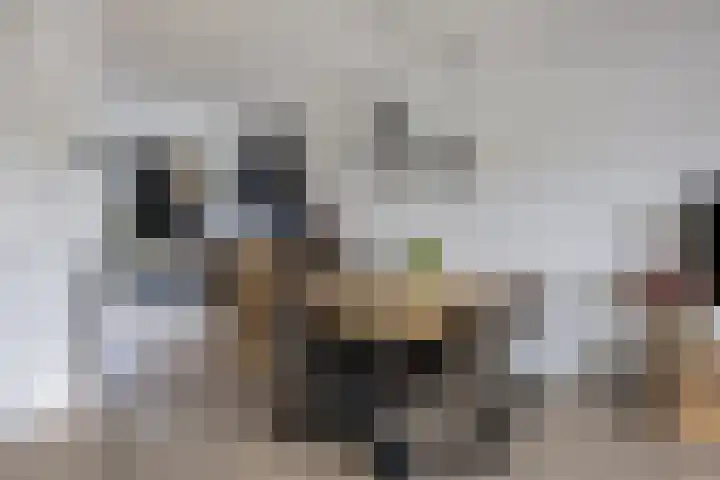 Buitenhof 7 Varik thumbnail 8