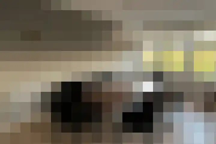 Buitenhof 71 Uithoorn thumbnail 13