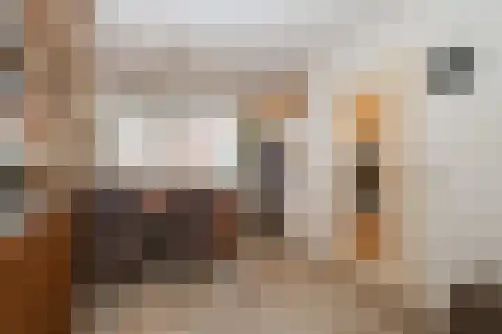 Buitenhof 8 Oostvoorne thumbnail 15