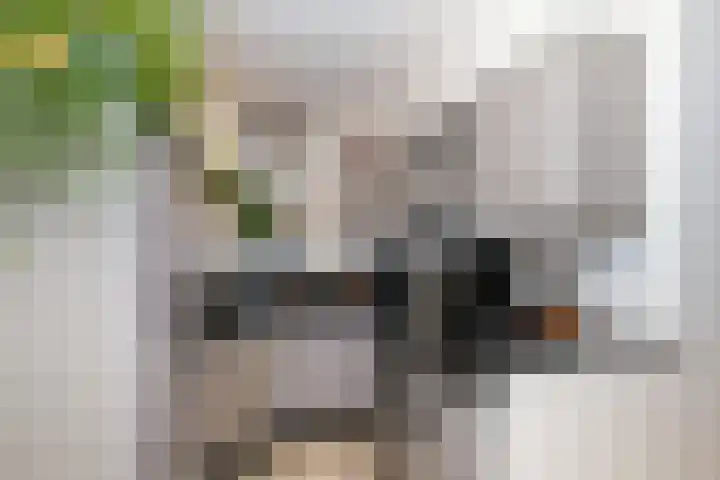 Buitenhof 8 Oostvoorne thumbnail 19