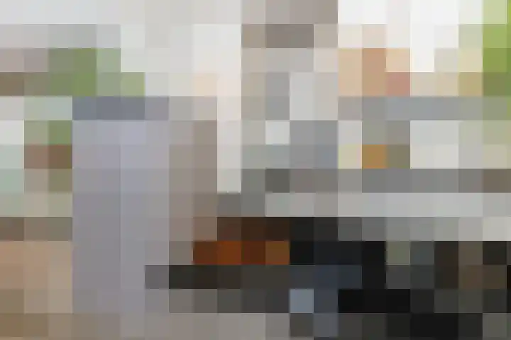 Buitenhof 8 Oostvoorne thumbnail 21