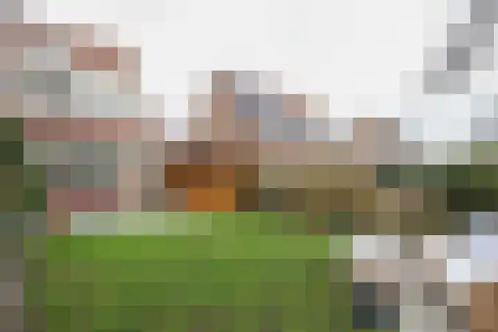 Buitenhof 8 Oostvoorne thumbnail 4
