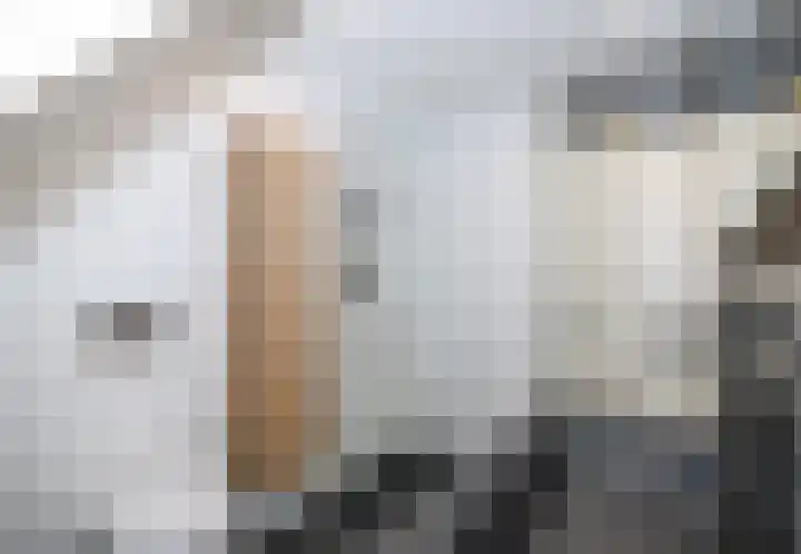Buitenhof 8 Oostvoorne thumbnail 41