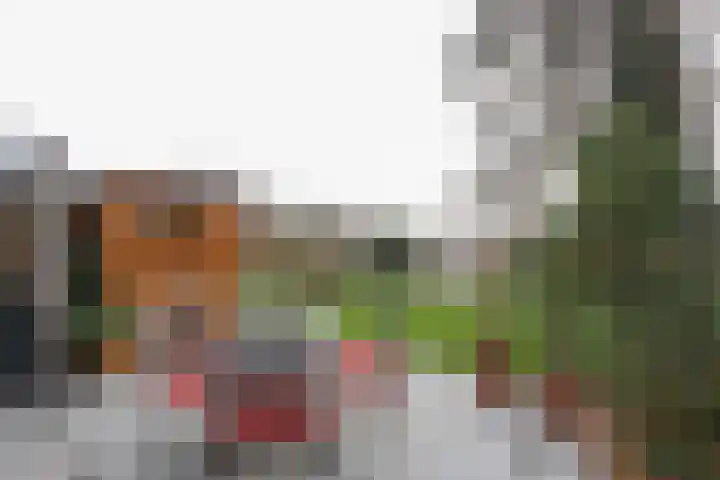 Buitenhof 8 Oostvoorne thumbnail 47