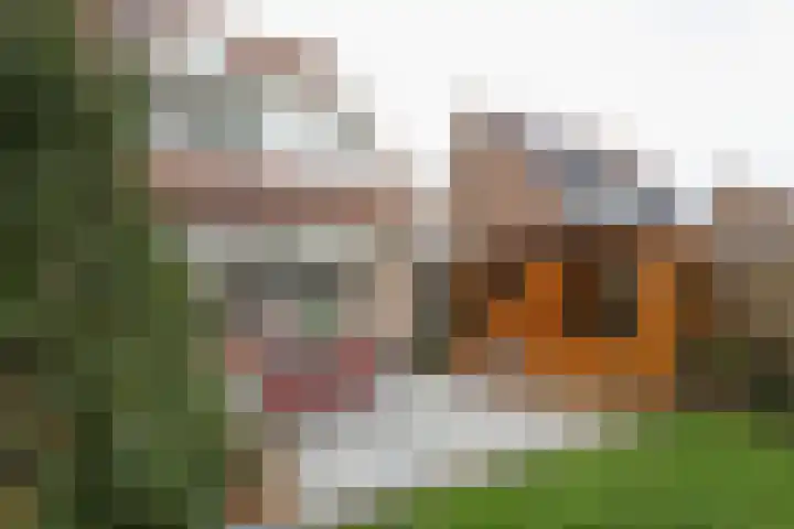Buitenhof 8 Oostvoorne thumbnail 49