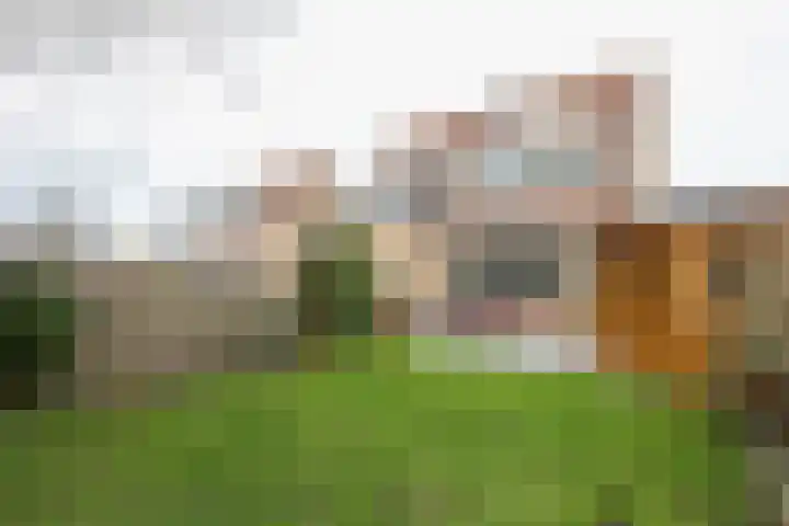 Buitenhof 8 Oostvoorne thumbnail 50