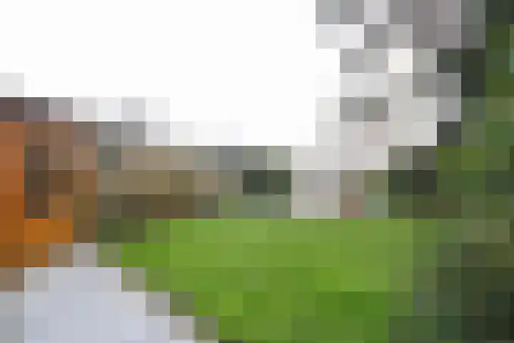 Buitenhof 8 Oostvoorne thumbnail 51