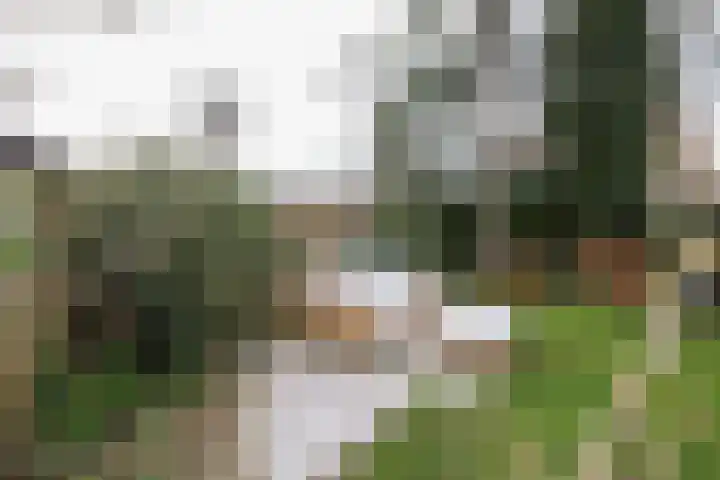 Buitenhof 8 Oostvoorne thumbnail 52