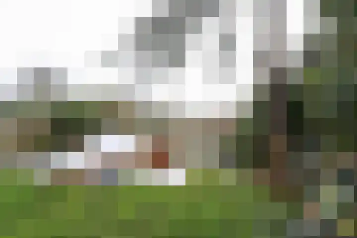 Buitenhof 8 Oostvoorne thumbnail 53