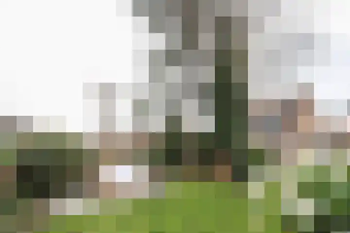 Buitenhof 8 Oostvoorne thumbnail 54
