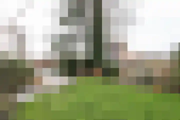 Buitenhof 8 Oostvoorne thumbnail 55