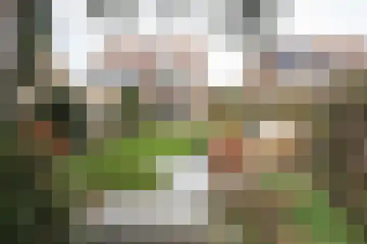 Buitenhof 8 Oostvoorne thumbnail 56