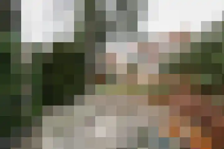 Buitenhof 8 Oostvoorne thumbnail 57