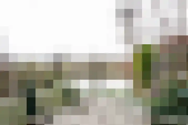 Buitenhof 8 Oostvoorne thumbnail 58