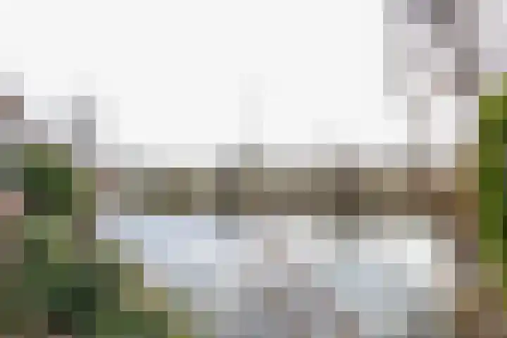 Buitenhof 8 Oostvoorne thumbnail 59