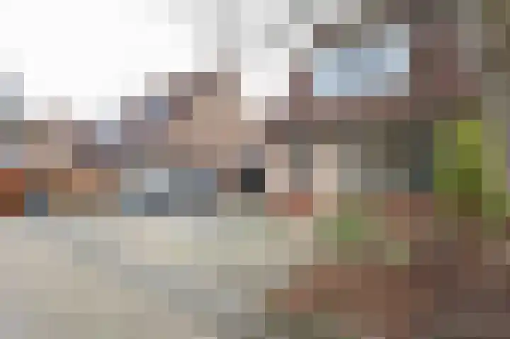 Buitenhof 8 Oostvoorne thumbnail 6