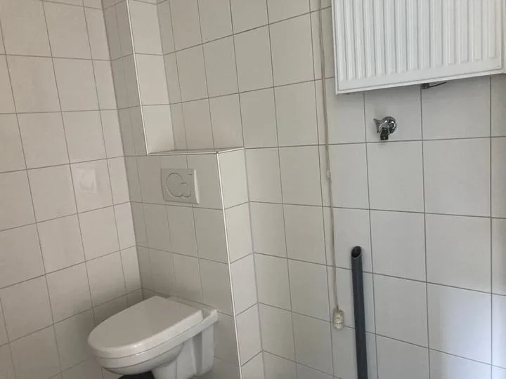 Buitenhof 80 Swifterbant thumbnail 19