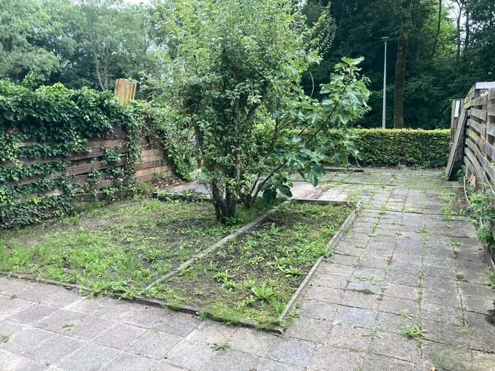 Buitenhof 80 Swifterbant foto 3