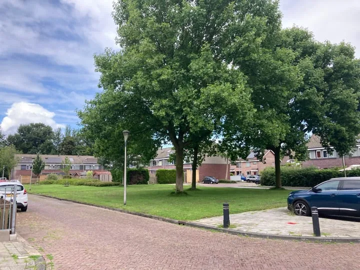 Buitenhof 80 Swifterbant thumbnail 30