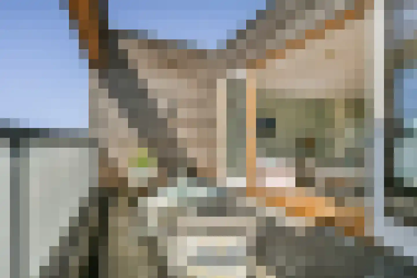 Buitenhof 80 Uithoorn thumbnail 8