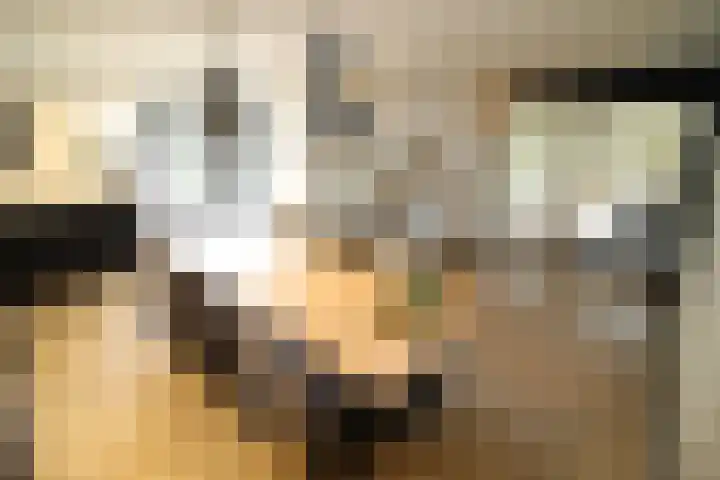 Buitenhof 9 Vriezenveen thumbnail 10