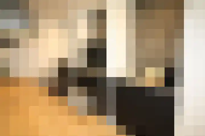 Buitenhof 9 Vriezenveen thumbnail 12