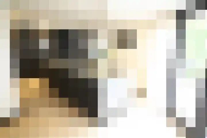 Buitenhof 9 Vriezenveen thumbnail 13
