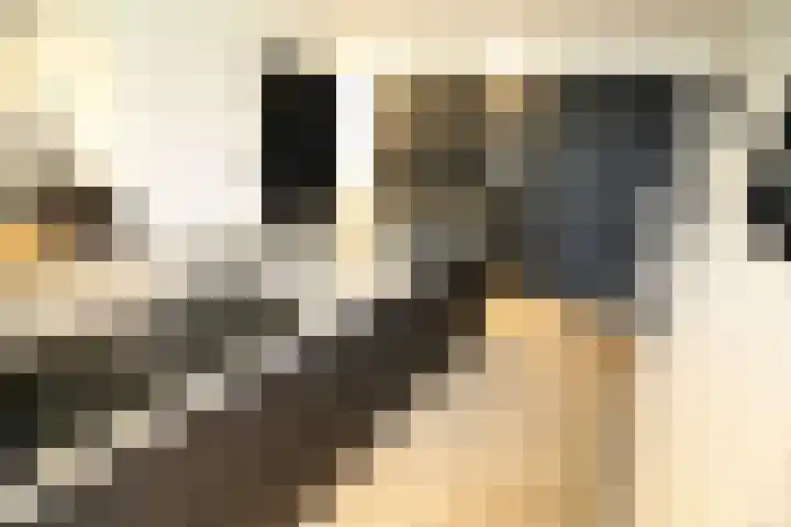 Buitenhof 9 Vriezenveen thumbnail 15