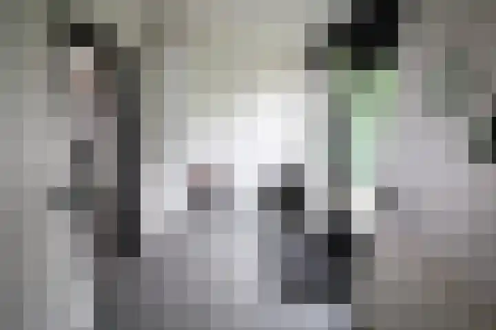 Buitenhof 9 Vriezenveen thumbnail 19
