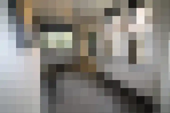 Buitenhof 9 Vriezenveen thumbnail 20