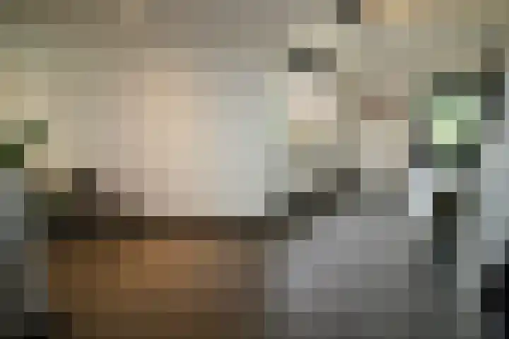 Buitenhof 9 Vriezenveen thumbnail 21