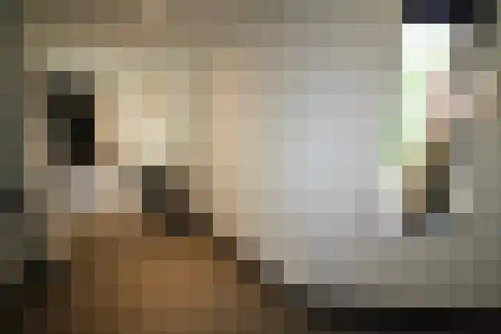 Buitenhof 9 Vriezenveen thumbnail 22