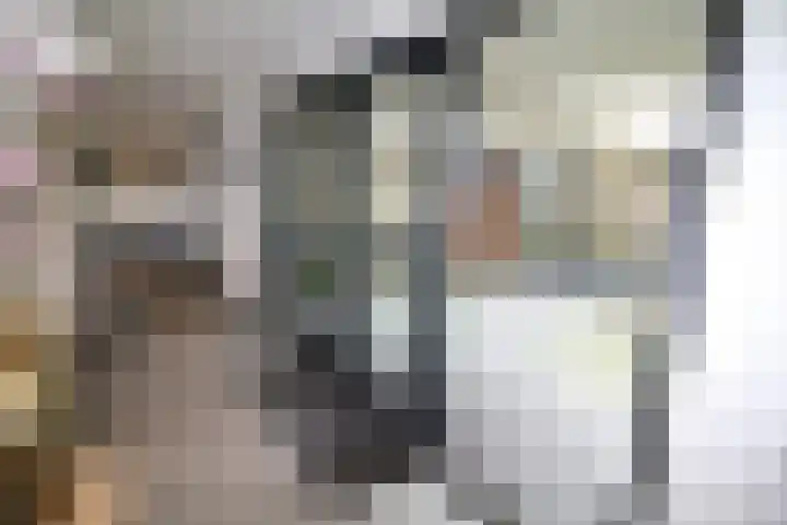 Buitenhof 9 Vriezenveen thumbnail 23