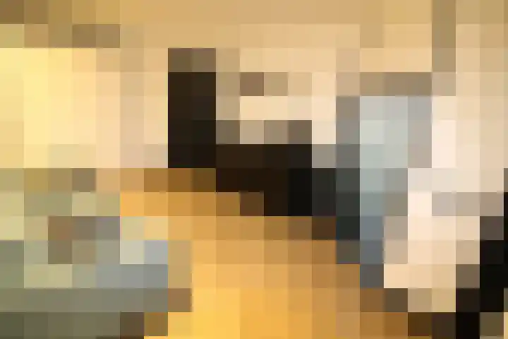 Buitenhof 9 Vriezenveen thumbnail 25